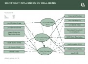 T 2011 Well-being and the Family System