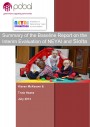 T 2013 Baseline Report on the Interim Evaluation of NEYAI and Siolta - Summary Report